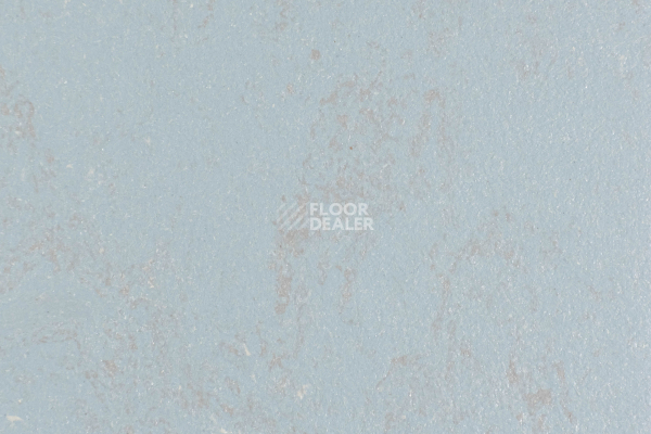 Линолеум Forbo Marmoleum Solid Concrete 3731-373135 flux фото 1 | FLOORDEALER