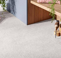 Vorwerk Superior 1072/Nutria Comfort Vorwerk 5x66 фото 2 | FLOORDEALER