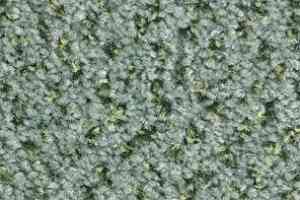 Ковролин Balsan Tango Tango 230 фото  | FLOORDEALER