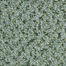 Ковролин Balsan Tango Tango 230 фото 1 | FLOORDEALER