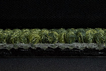 Art Intervention Коллекция Creative Spark Creative Spark 621 фото 6 | FLOORDEALER