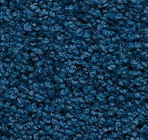 Ковролин Balsan Les First Les First 162 фото 1 | FLOORDEALER