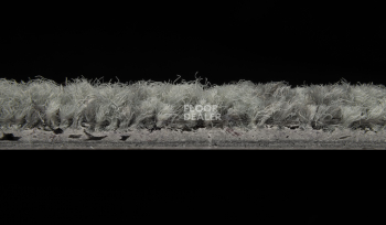 ColorKey ColorKey a 05 фото 3 | FLOORDEALER