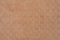 Forbo Emerald Standart 72405 фото 2 | FLOORDEALER