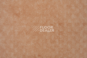 Forbo Emerald Standart 72405 фото 2 | FLOORDEALER