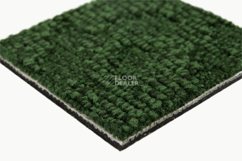 IVC Animate 621 фото 6 | FLOORDEALER