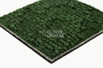 IVC Animate 621 фото 6 | FLOORDEALER