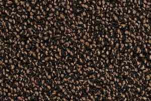 Ковролин Desso Cassini 2924 фото  | FLOORDEALER