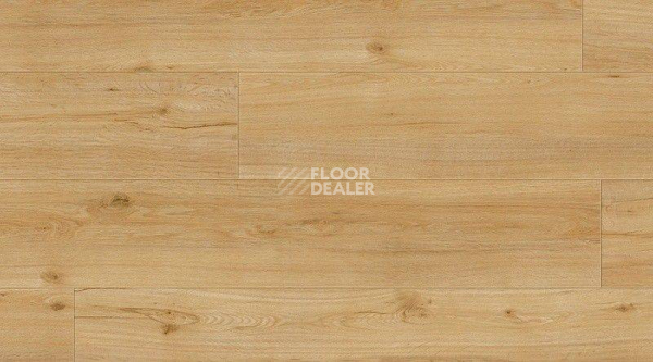 Кварцвиниловые полы Creation 30 Clic 0347_ballerina фото 1 | FLOORDEALER