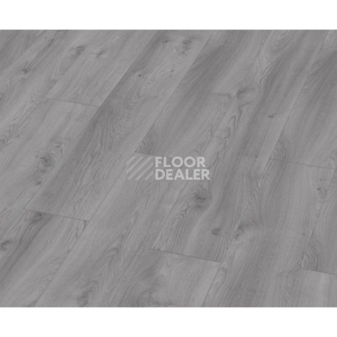 Ламинат Kronotex Mammut Plus d3670 Дуб Макро Светло-серый фото 1 | FLOORDEALER