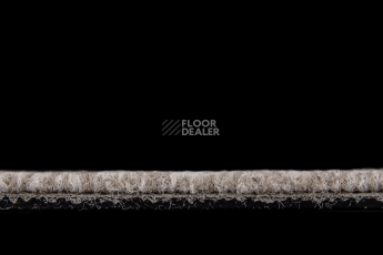 IVC Alternate 731 фото 6 | FLOORDEALER