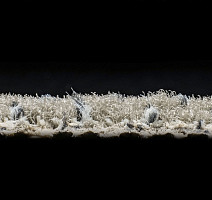 AW Magma 39 фото 4 | FLOORDEALER