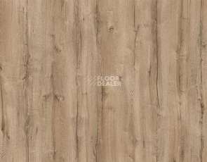 Ламинат My Step Arto 10мм Дуб Мальтус D3282 фото 1 | FLOORDEALER