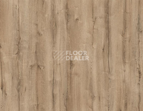 My Step Arto 10мм Дуб Мальтус D3282 фото 1 | FLOORDEALER
