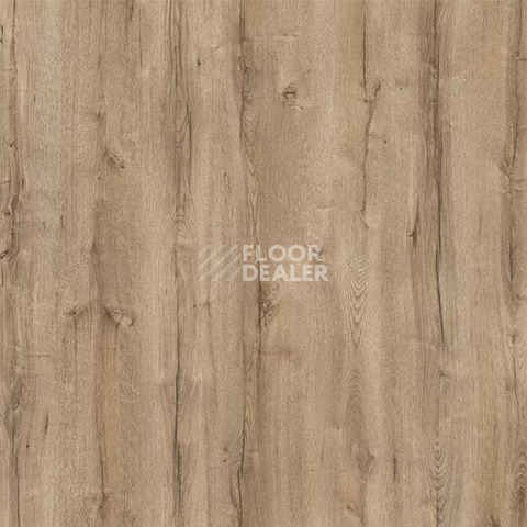 Ламинат My Step Arto 10мм Дуб Мальтус D3282 фото 1 | FLOORDEALER
