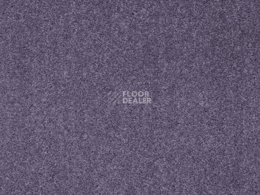 Ковролин Balta ITC Rossini 087 New фото 1 | FLOORDEALER