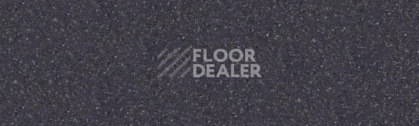 Линолеум Tarkett Tempo Plus 1001 фото 1 | FLOORDEALER