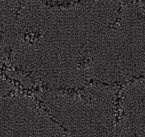 Ковролин Balsan Muse 960 фото 1 | FLOORDEALER