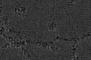 Ковролин Balsan Muse 960 фото  | FLOORDEALER