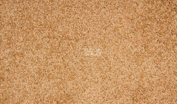 Ковролин Betap Makao 19 фото 1 | FLOORDEALER