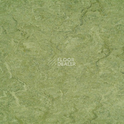Линолеум Marmorette Acoustic DLW 121-100 фото 1 | FLOORDEALER