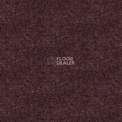 Ковролин Tapibel Spirit 8880 фото 1 | FLOORDEALER