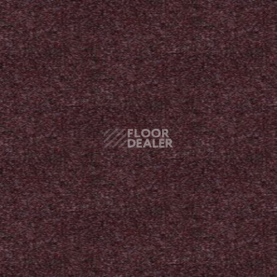 Ковролин Tapibel Spirit 8880 фото 1 | FLOORDEALER