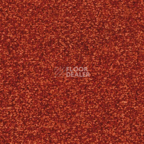 Ковровая плитка Balsan Ultrasoft Planks 550 фото 1 | FLOORDEALER