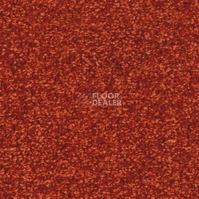 Ковровая плитка Balsan Ultrasoft Planks 550 фото 1 | FLOORDEALER