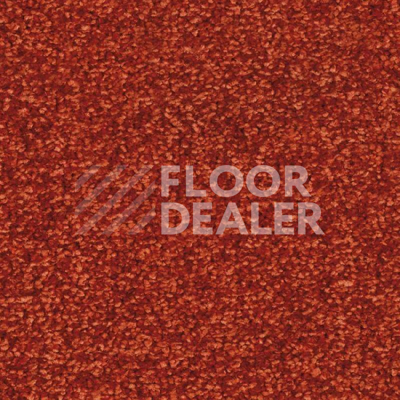 Ковровая плитка Balsan Ultrasoft Planks 550 фото 1 | FLOORDEALER