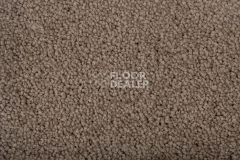 Haima Noble 99 фото 2 | FLOORDEALER