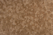 Tarkett iq Melodia 2618 фото 3 | FLOORDEALER