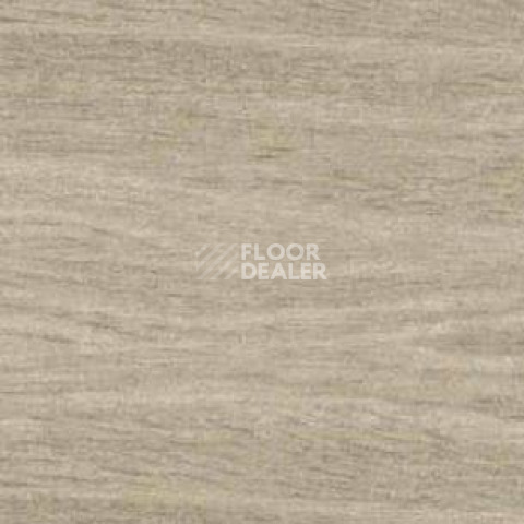 Плинтус Dollken EP 60/13 2989 фото 2 | FLOORDEALER