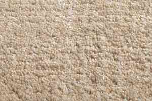 Ковролин Jacaranda Carpets Agra Oatmeal фото  | FLOORDEALER