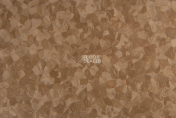 Tarkett iq Melodia 2618 фото 3 | FLOORDEALER