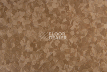 Tarkett iq Melodia 2618 фото 3 | FLOORDEALER