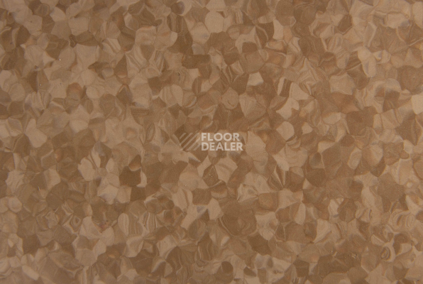 Tarkett iq Melodia 2618 фото 3 | FLOORDEALER