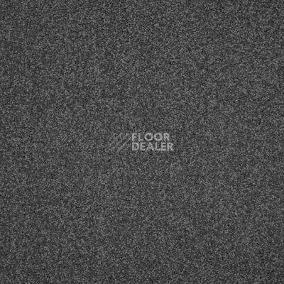 Ковролин AW Masquerade Isotta 99 фото 1 | FLOORDEALER