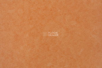 Forbo Emerald Standart 72404 фото 2 | FLOORDEALER