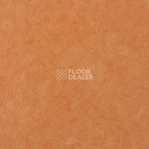 Forbo Emerald Standart 72404 фото 2 | FLOORDEALER