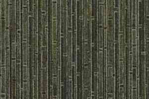 Ковролин Flotex Manila 245003 фото  | FLOORDEALER