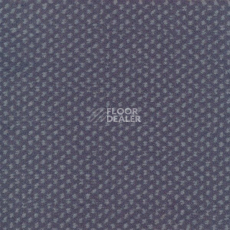 Ковролин Sintelon Podium 13613 фото 1 | FLOORDEALER