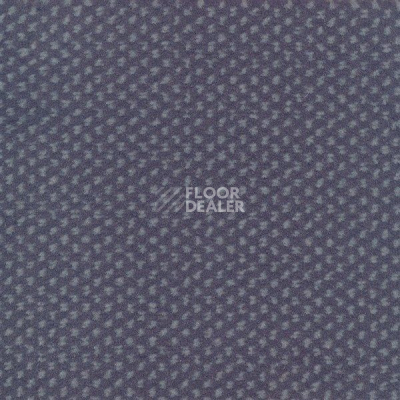 Ковролин Sintelon Podium 13613 фото 1 | FLOORDEALER