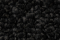 Balsan Take a Walk Rolls 990 фото 3 | FLOORDEALER