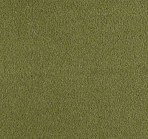 Ковролин Lano Bergamo Ber 0580 фото 1 | FLOORDEALER