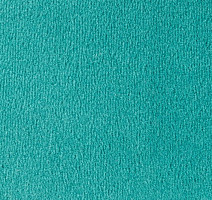 Ковролин Vorwerk Passion 1000/Modena Vorwerk 4f68 фото 1 | FLOORDEALER