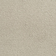 Ковролин Condor  Magic 74 фото 1 | FLOORDEALER