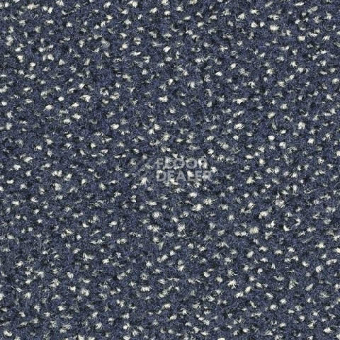 Ковролин Balsan Equinoxe Confort + 950 фото 1 | FLOORDEALER