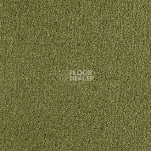 Ковролин Lano Bergamo Ber 0580 фото 1 | FLOORDEALER