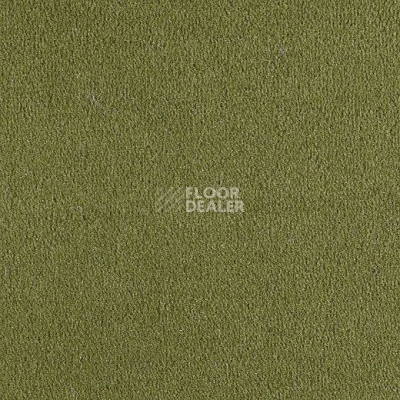 Ковролин Lano Bergamo Ber 0580 фото 1 | FLOORDEALER